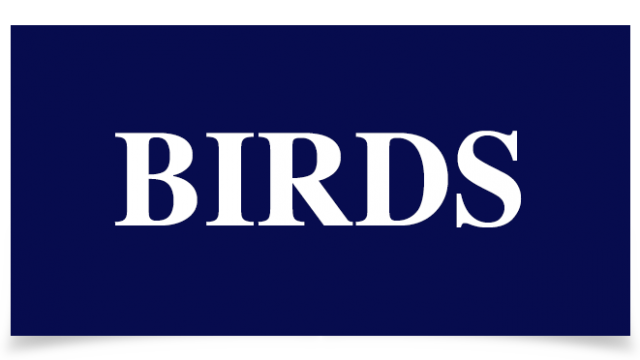Birds Absinto arthemisia
